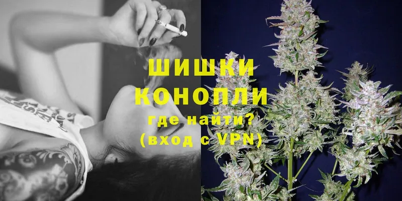 Бошки марихуана THC 21%  Новопавловск 